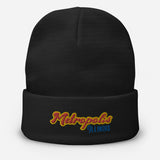 Metropolis Illinois Embroidered Beanie - supermanstuff.com