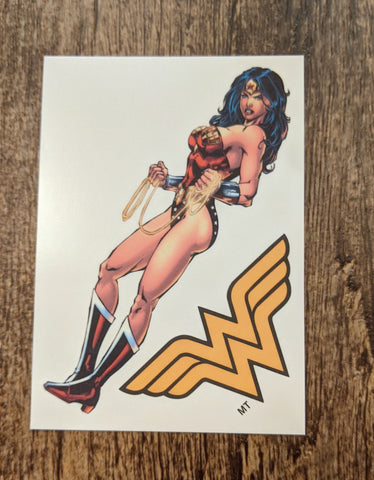 Wonder Woman with Logo Temporary Tattoo - supermanstuff.com