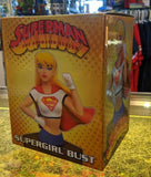 DIAMOND SELECT TOYS Superman: The Animated Series: Supergirl Bust 0715-3000 - supermanstuff.com